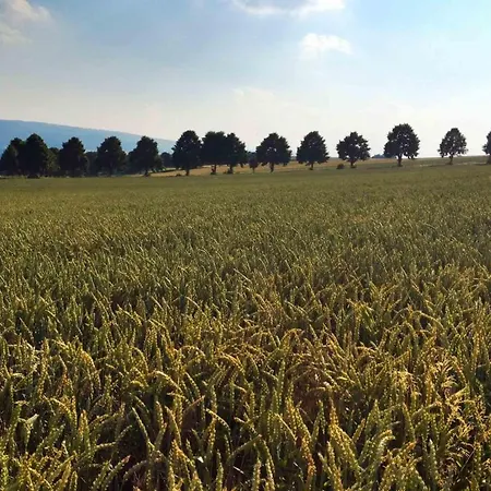 Weinschanke Rohdental Hotel
