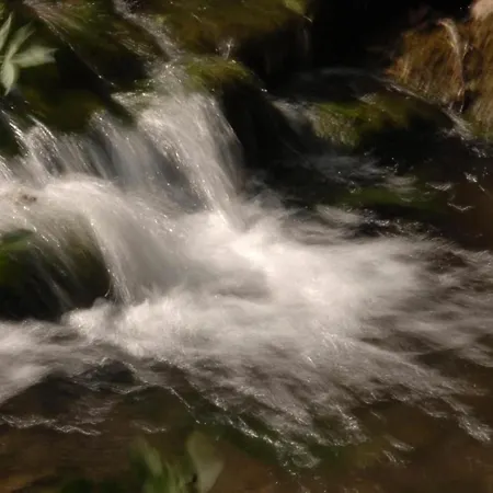 Weinschanke Rohdental Hotel Hessisch Oldendorf