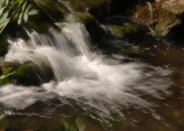 Weinschanke Rohdental Hotel Hessisch Oldendorf